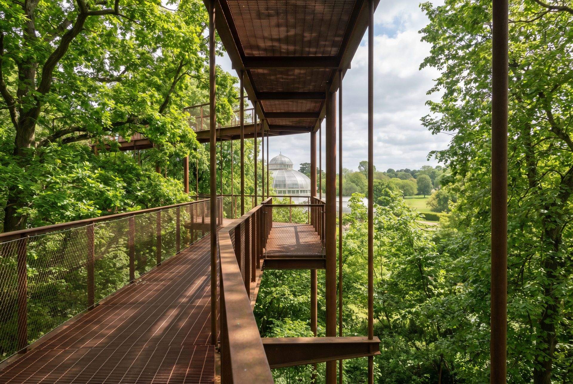 Treetop Walkway